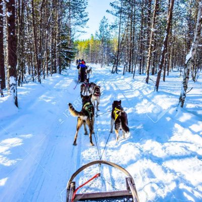 Fin de Año en Laponia 2.024