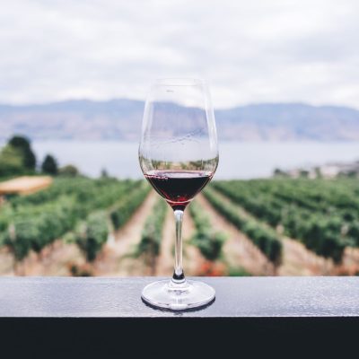 Mendoza y la Ruta de los Vinos 2024