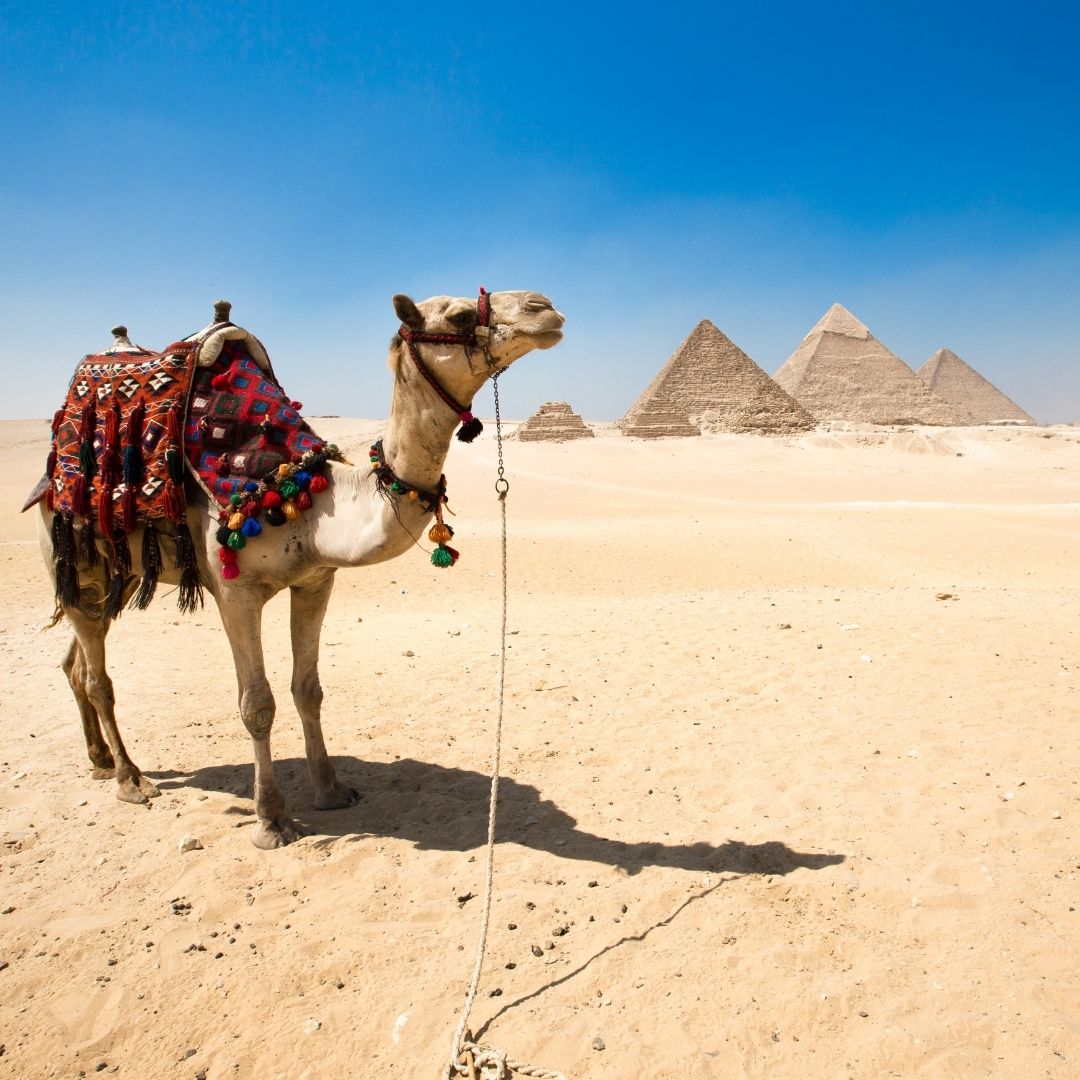 Egipto completísimo verano (Del 01 de May al 22 de Sep de 2.026)