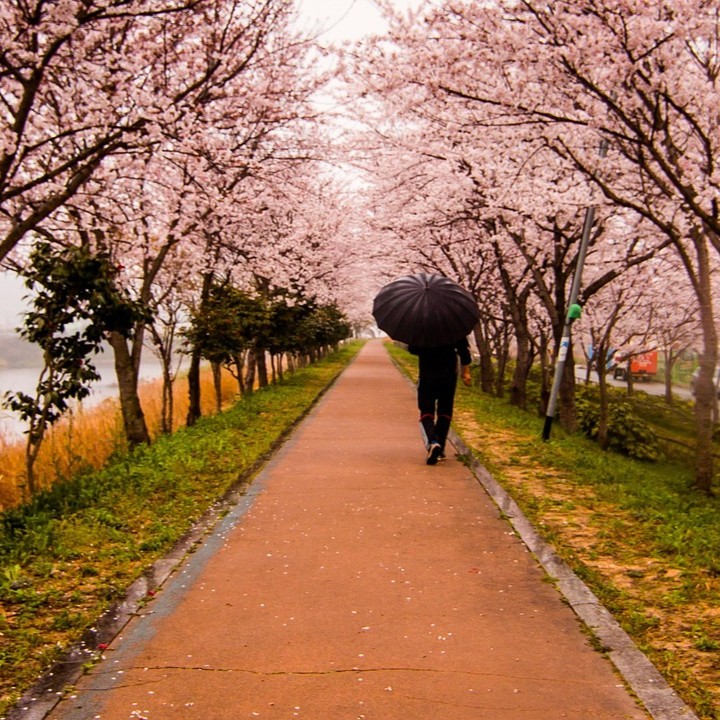 Colores de Corea del Sur