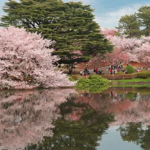 Gran viaje a Japón y China en temporada de sakura 4 - Giratur