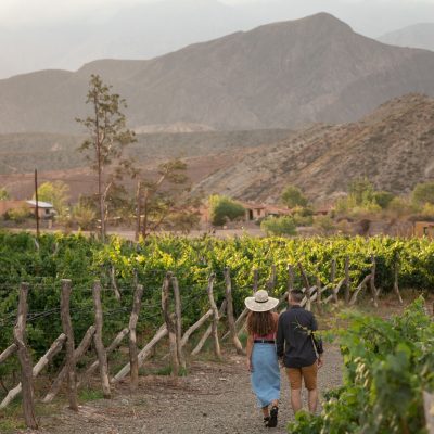 Buenos Aires y Mendoza, Degustando el Malbec 2.026